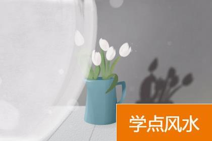 办公室盆栽那样摆是不是会漏财？