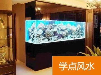 养魚鱼缸的风水挑选