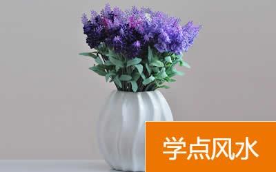 家中放什么招桃花最很灵