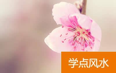 本运年招桃花：如何解决桃花煞