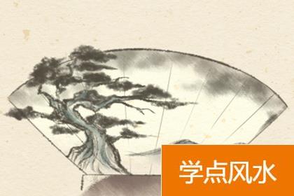 厨房风水：餐厅厨房养什么绿色植物好？