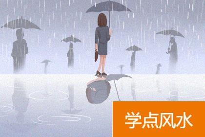 发财树