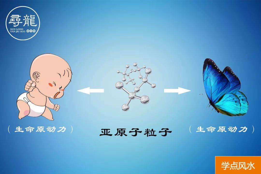 那么多的人看房子风水，究竟在看啥？