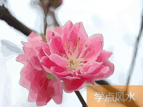 如何用爱情顺利风水 求姻缘风水 旺桃花运？