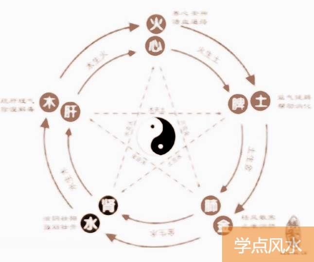 五脏六腑与五行的关系