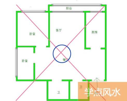 风水趣闻：鸭子也会吵架