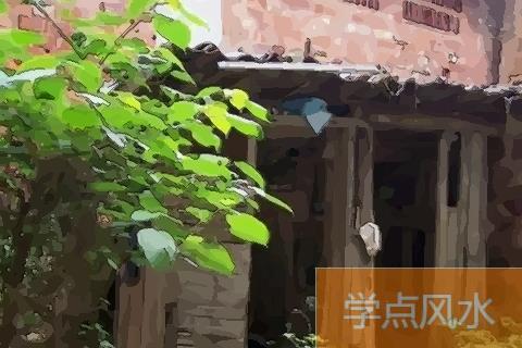 你知道农村自建房房前屋后栽什么果树好 有什么风水讲究