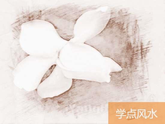 七月开什么花 7月开什么花