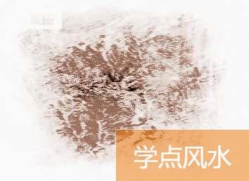 青蛙跃水富豪祖穴-广东阳江风水宝地穴图