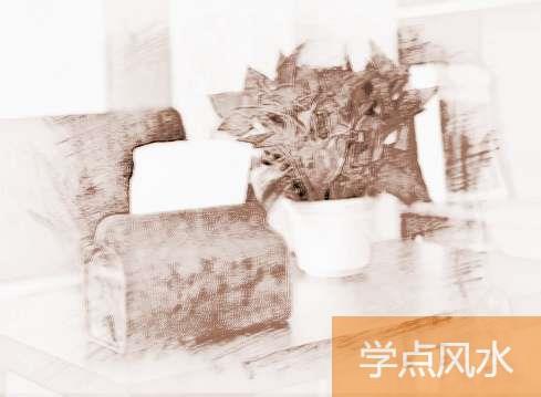 办公室内植物摆放风水