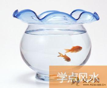 节后如何布置旺风水