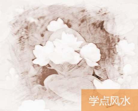 茉莉花的花语是什么 茉莉花寓意