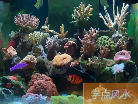 在家里养鱼要注意的风水禁忌是什么