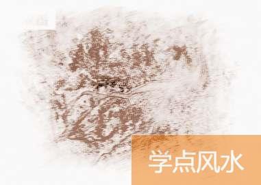 一网扑九鱼富豪祖穴-广东顺德风水宝地穴图