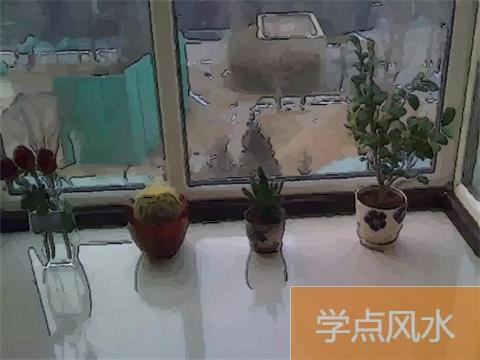 卧室养花禁忌 卧室养花要注意的风水禁忌