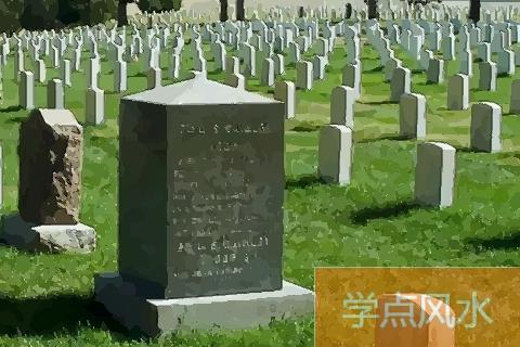 坟地适合种什么树 种树旺子孙三代