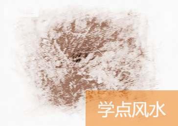 花开富贵富豪祖穴-广东中山风水宝地穴图