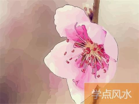 会破坏桃花运的风水布局介绍