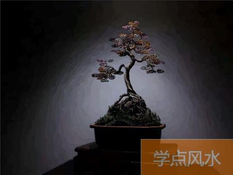 家中的植物不可乱放 放不好也会影响风水