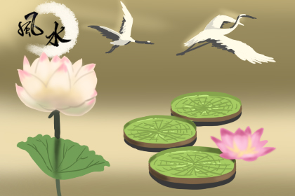 富豪最喜欢 八种绿色植物旺财又旺宅